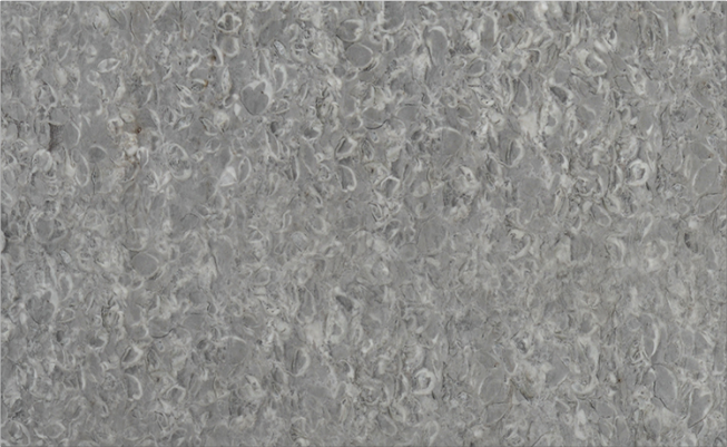 Grey Fossil